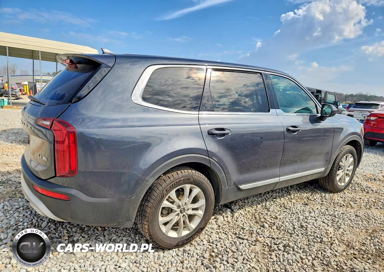 2021 Kia Telluride Lx VIN:5XYP2DHC9MG097245 - 3
