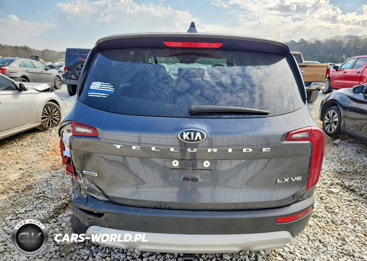 2021 Kia Telluride Lx VIN:5XYP2DHC9MG097245 - 6