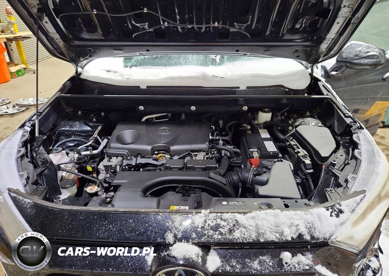 2019 Toyota Rav4 Le VIN:2T3F1RFV5KW043911 - 12