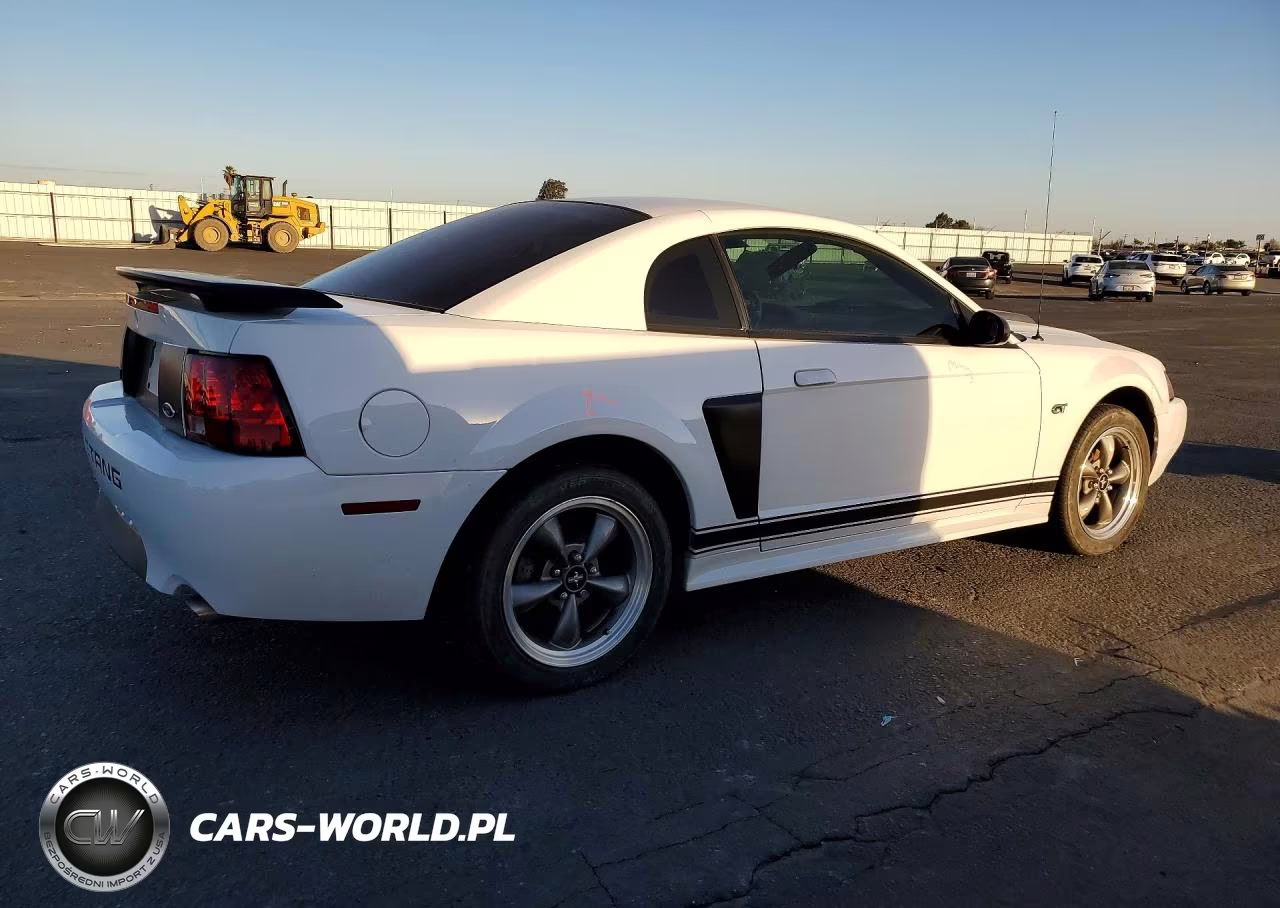 2003 Ford Mustang Gt VIN:1FAFP42X33F312926 - 3