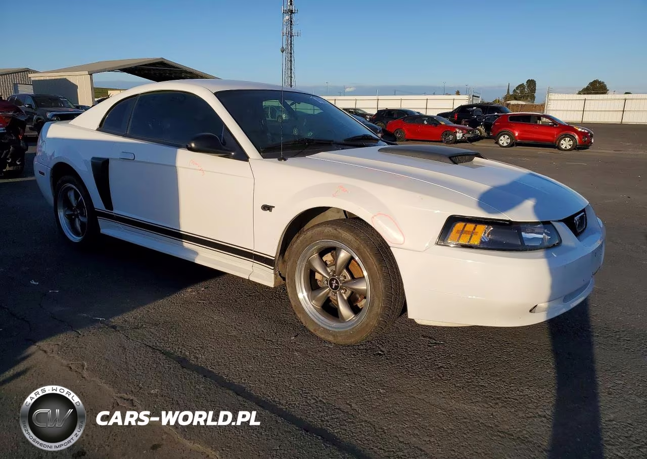 2003 Ford Mustang Gt VIN:1FAFP42X33F312926 - 4