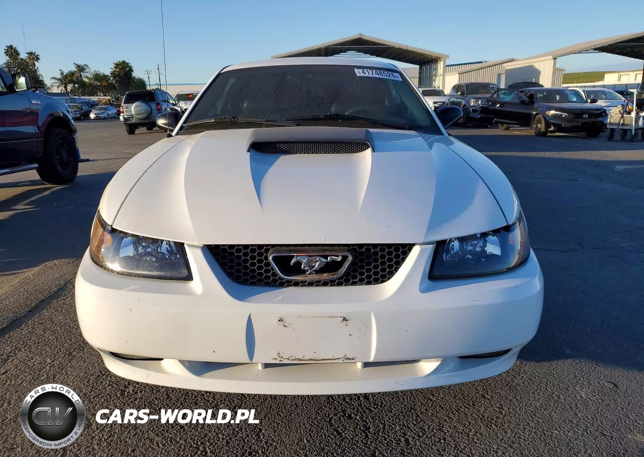 2003 Ford Mustang Gt VIN:1FAFP42X33F312926 - 5