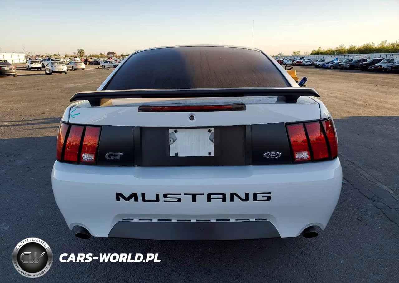 2003 Ford Mustang Gt VIN:1FAFP42X33F312926 - 6