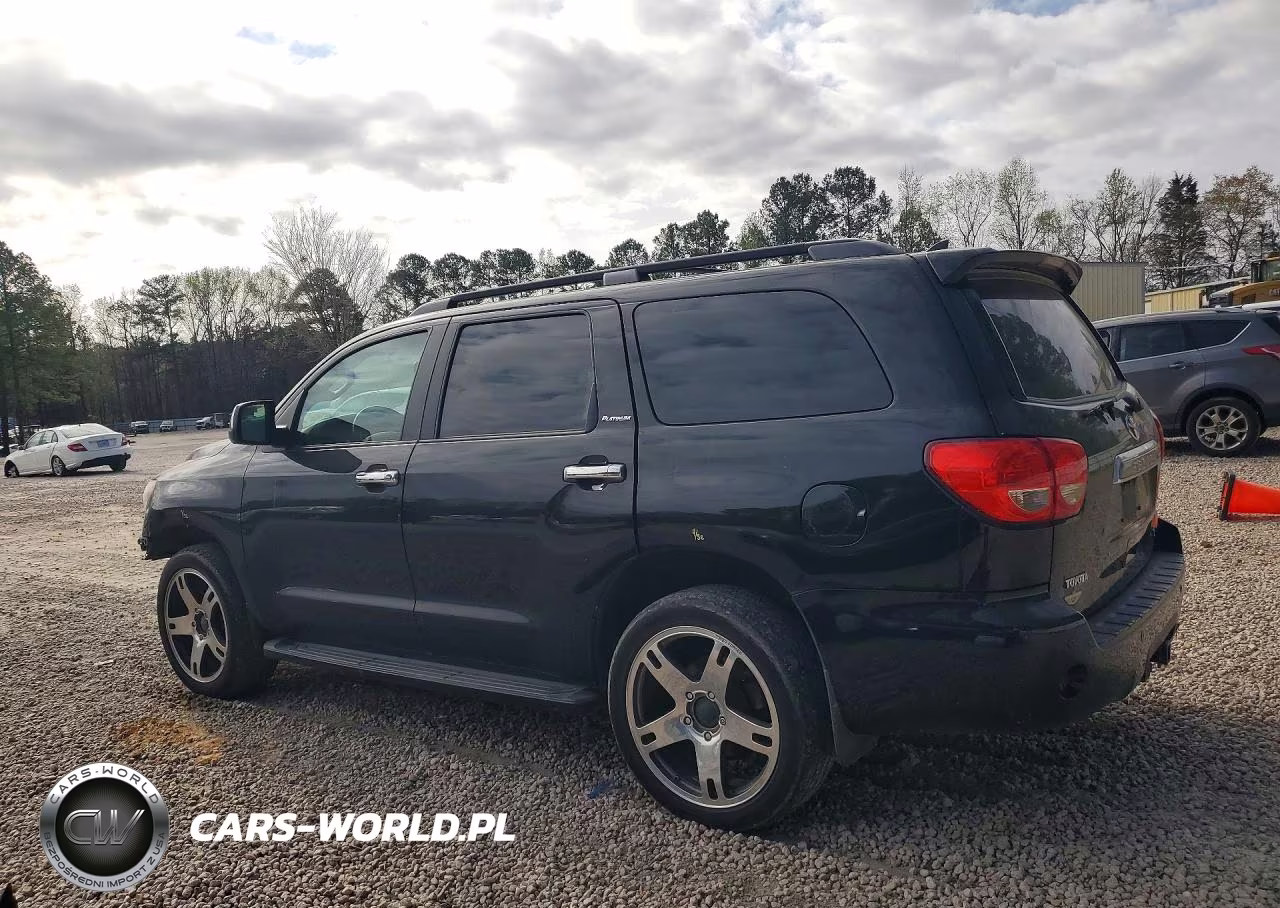 2010 Toyota Sequoia Platinum VIN:5TDDW5G16AS026466 - 2