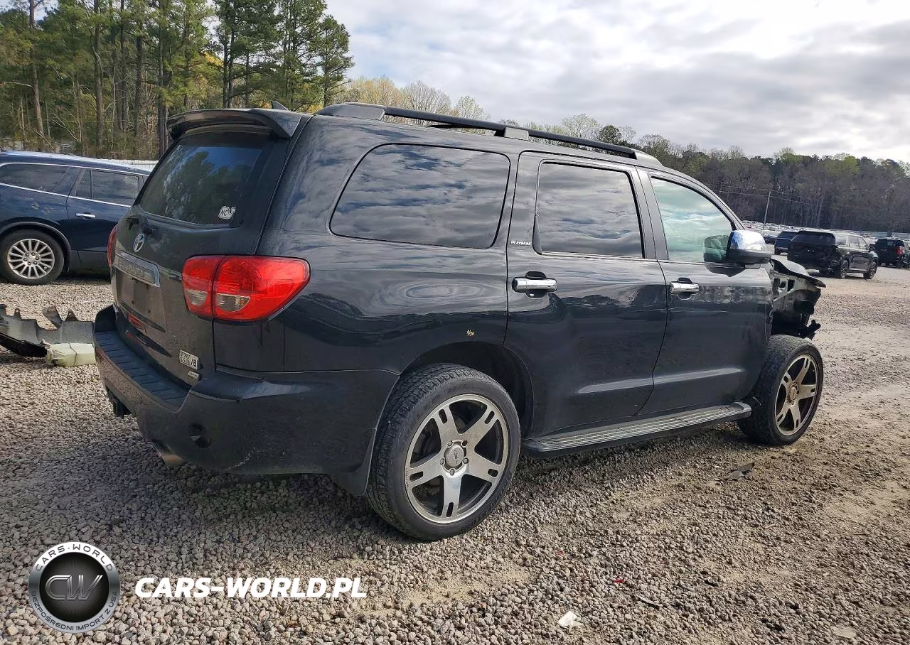 2010 Toyota Sequoia Platinum VIN:5TDDW5G16AS026466 - 3