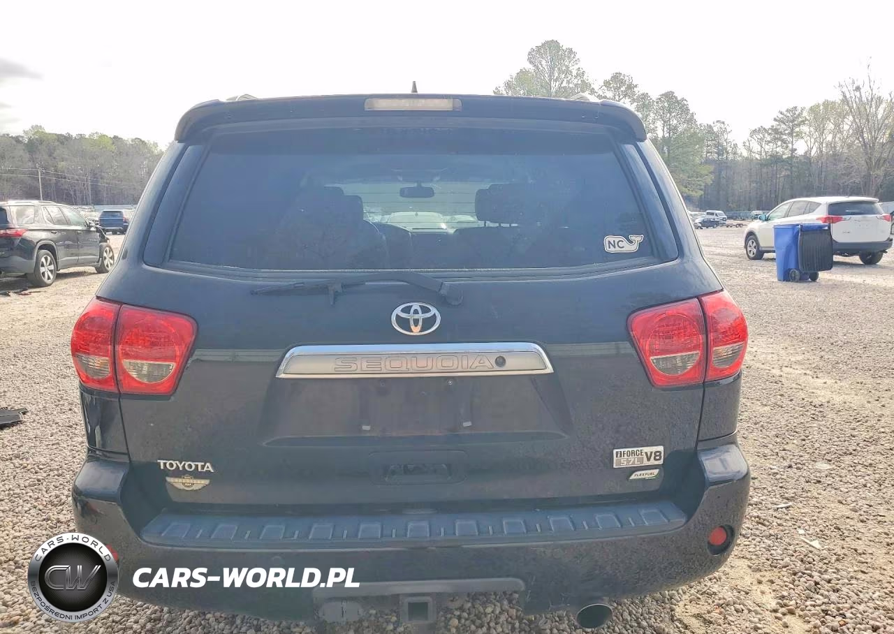 2010 Toyota Sequoia Platinum VIN:5TDDW5G16AS026466 - 6
