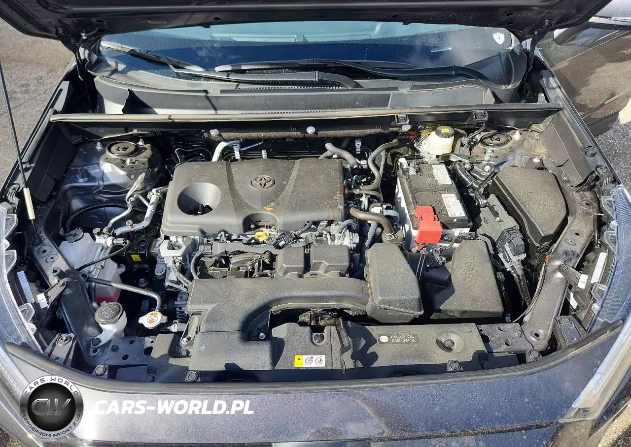 2025 Toyota Rav4 Xle VIN:2T3W1RFV6SW410458 - 12