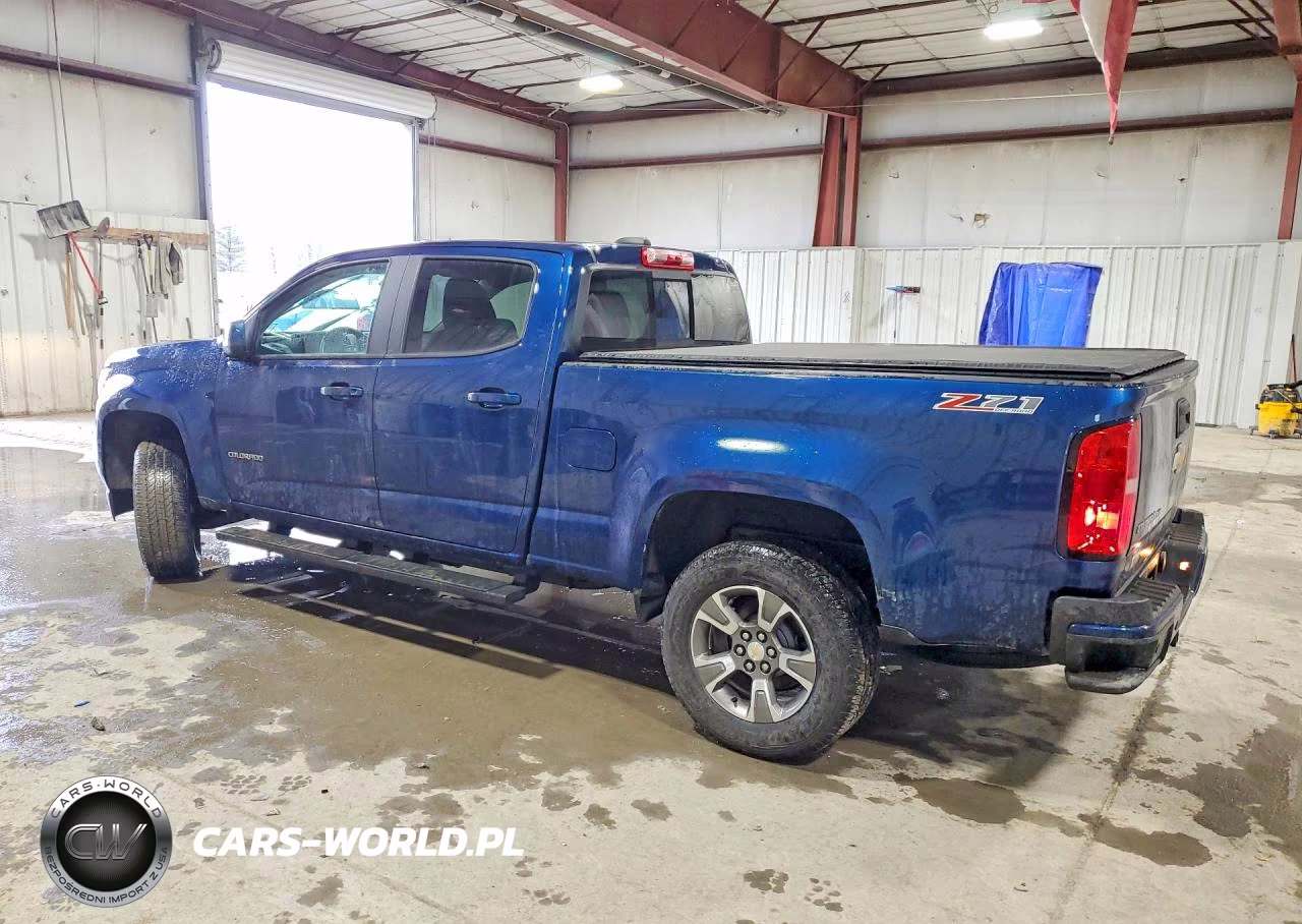 2019 Chevrolet Colorado Z71 VIN:1GCGTDEN1K1356004 - 2