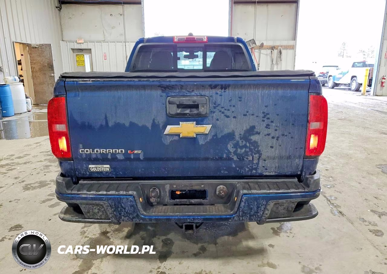 2019 Chevrolet Colorado Z71 VIN:1GCGTDEN1K1356004 - 6