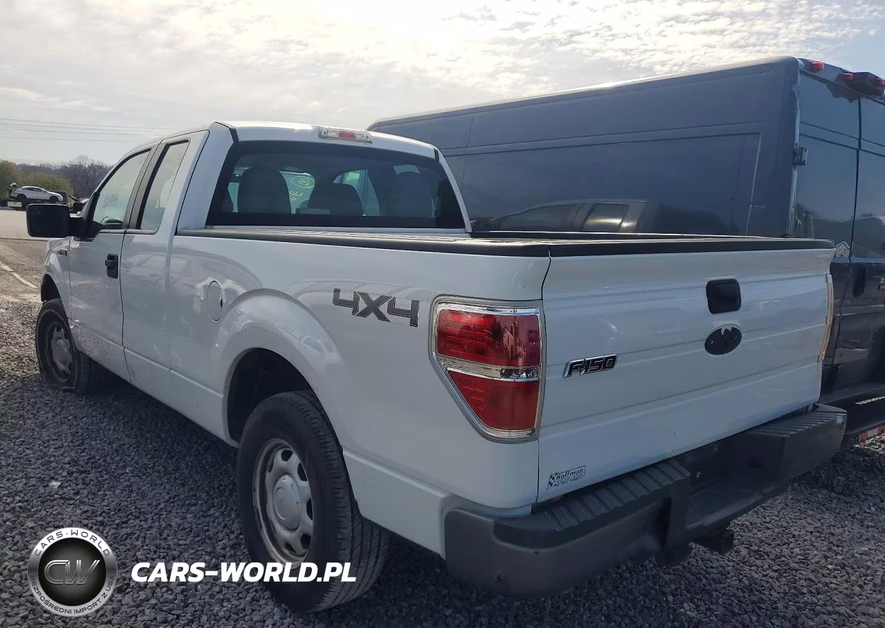 2010 Ford F150 Super Cab VIN:1FTEX1E82AFA60138 - 2