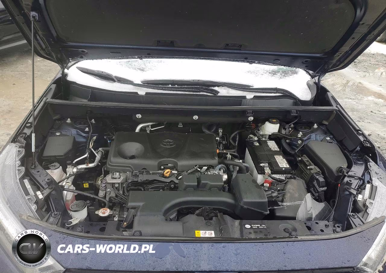 2023 Toyota Rav4 Xle VIN:2T3P1RFV5PW334078 - 12
