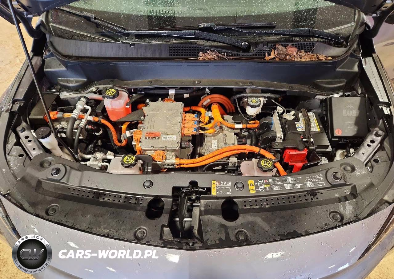 2023 Chevrolet Bolt Euv Lt VIN:1G1FY6S06P4165078 - 12