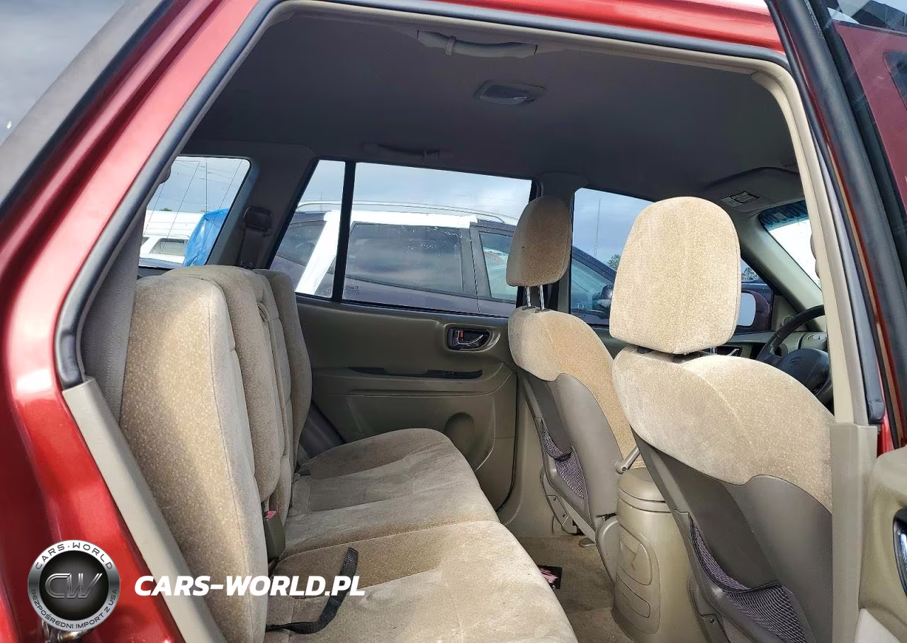 2004 Hyundai Santa Fe VIN:KM8SC13D04U677113 - 11