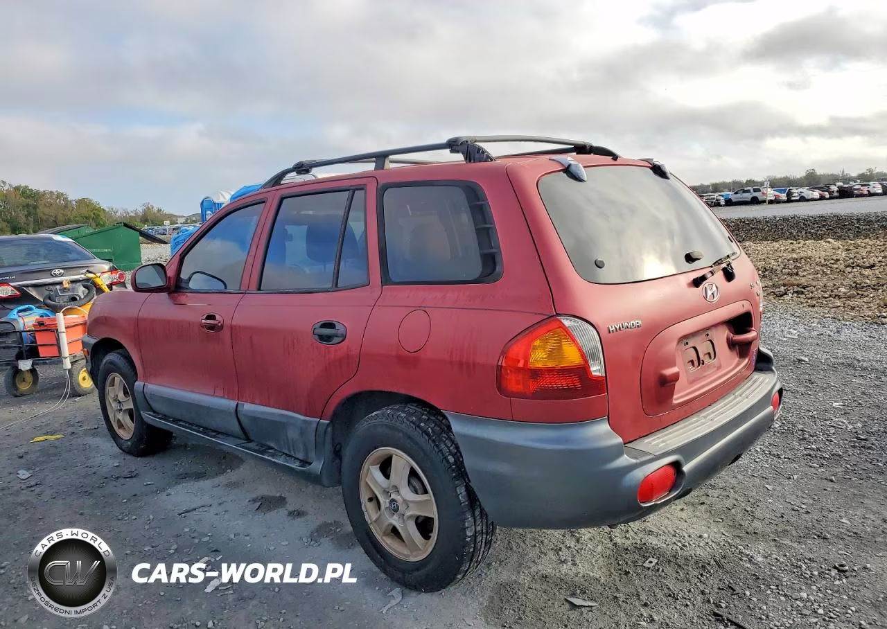 2004 Hyundai Santa Fe VIN:KM8SC13D04U677113 - 2