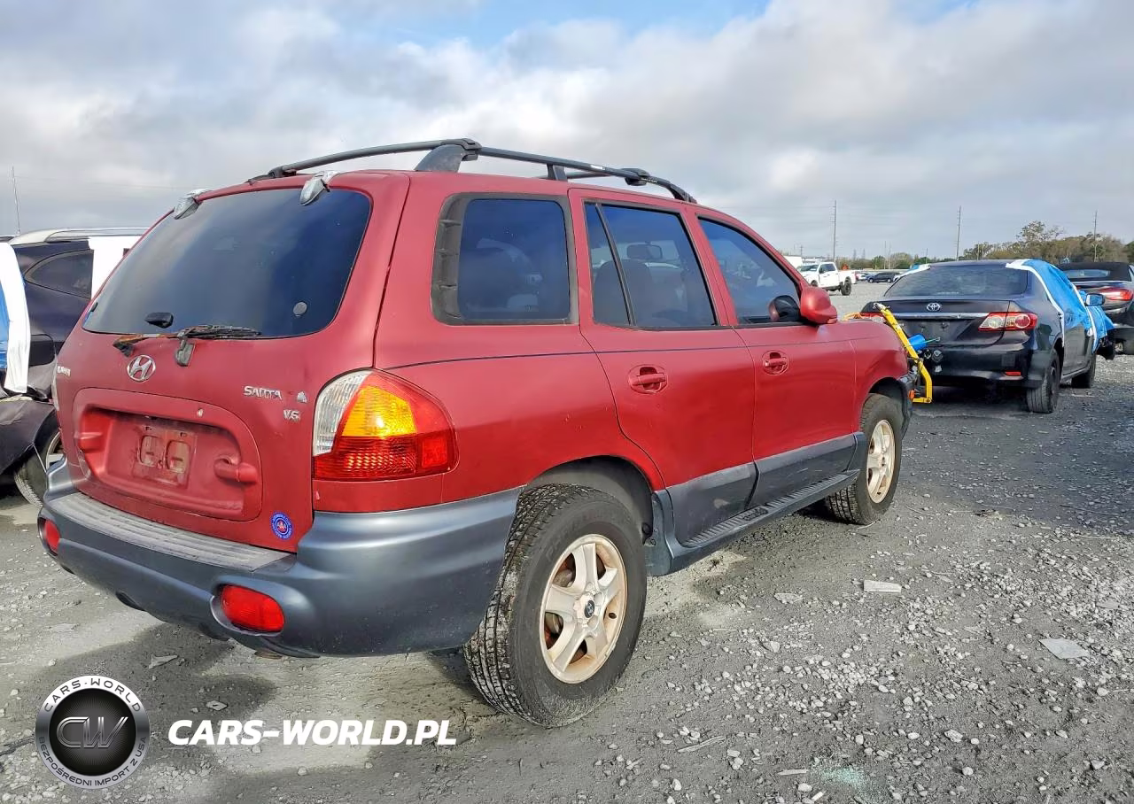 2004 Hyundai Santa Fe VIN:KM8SC13D04U677113 - 3