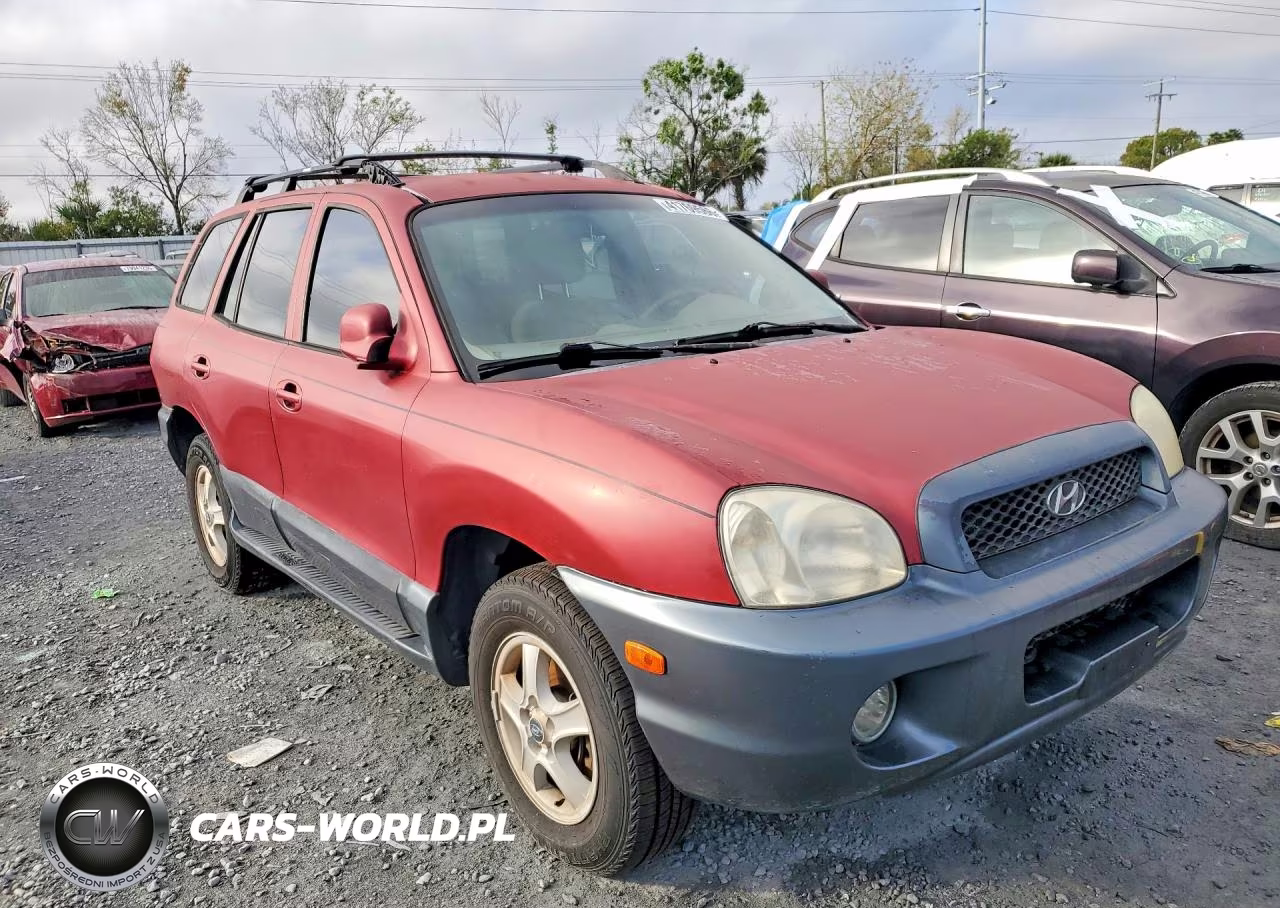 2004 Hyundai Santa Fe VIN:KM8SC13D04U677113 - 4
