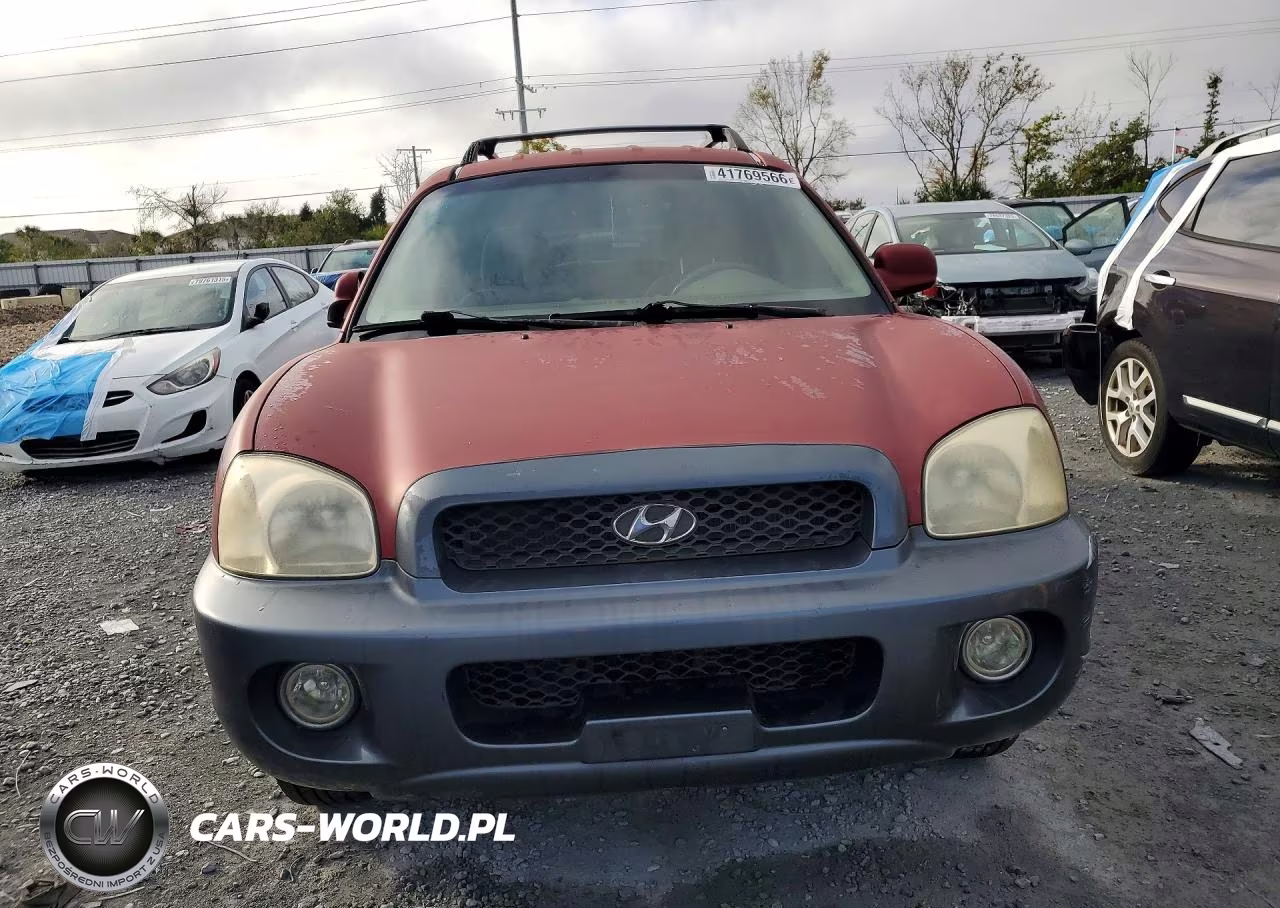 2004 Hyundai Santa Fe VIN:KM8SC13D04U677113 - 5