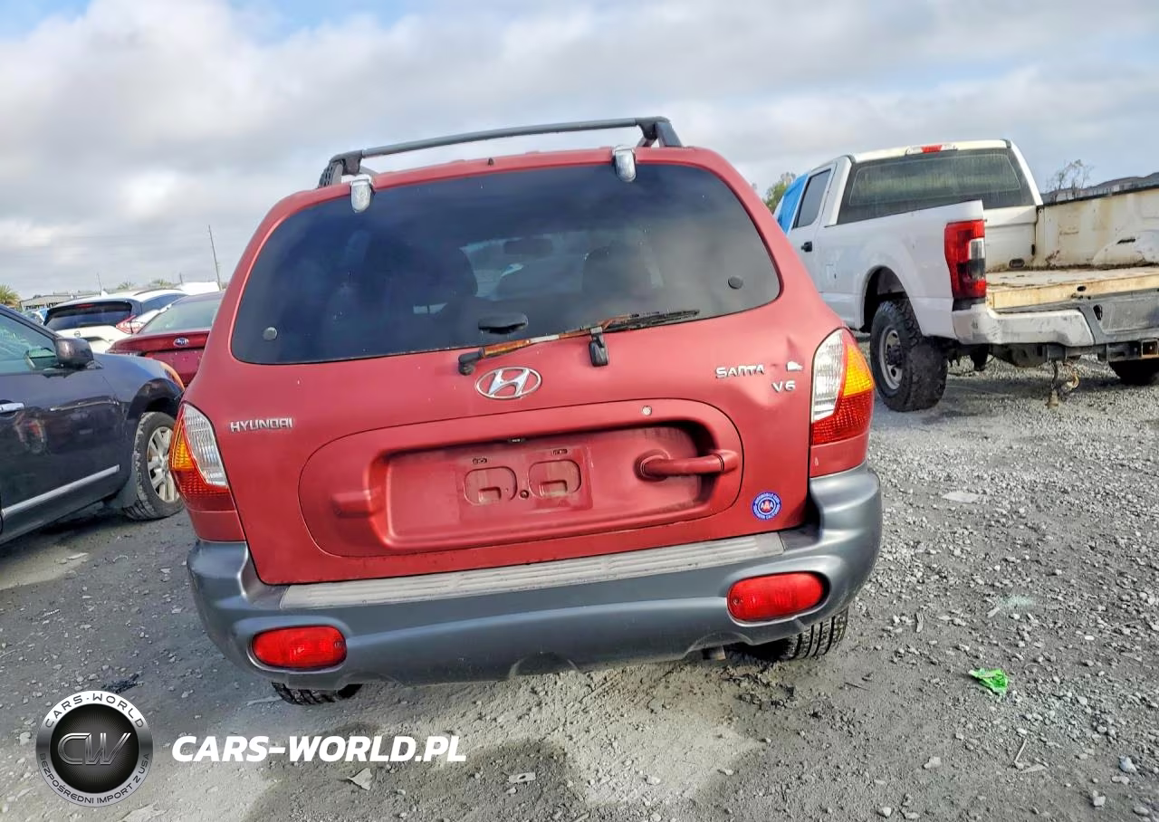 2004 Hyundai Santa Fe VIN:KM8SC13D04U677113 - 6