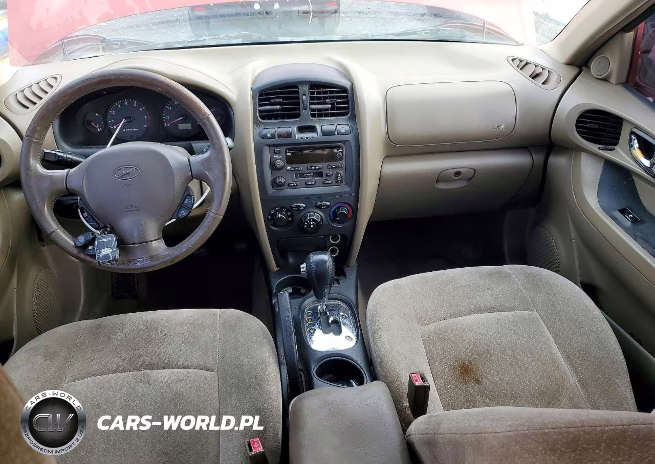 2004 Hyundai Santa Fe VIN:KM8SC13D04U677113 - 8