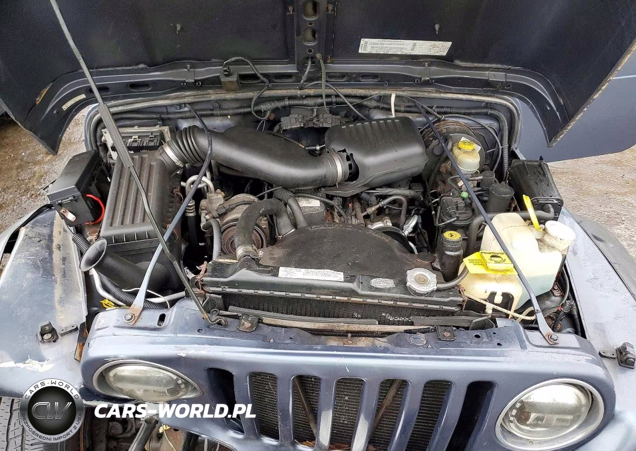 2002 Jeep Wrangler - Tj Se VIN:1J4FA29P62P740997 - 12