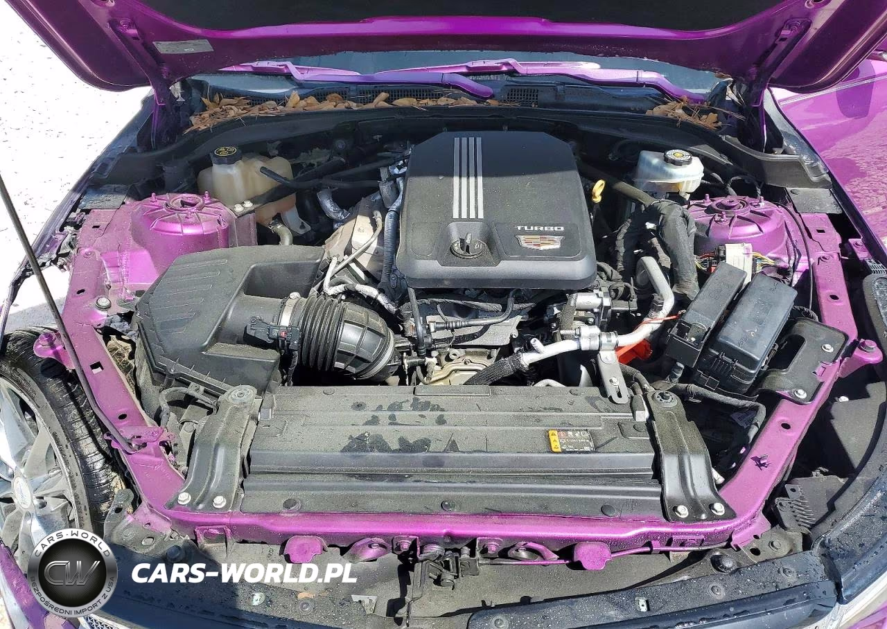 2020 Cadillac Ct4 Sport VIN:1G6DG5RK1L0126342 - 11
