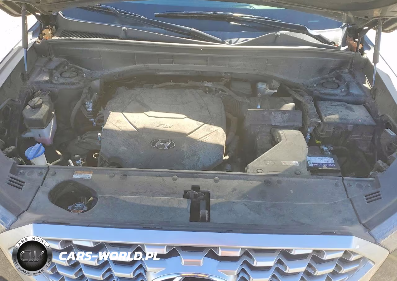 2021 Hyundai Palisade Sel VIN:KM8R4DHEXMU245269 - 12