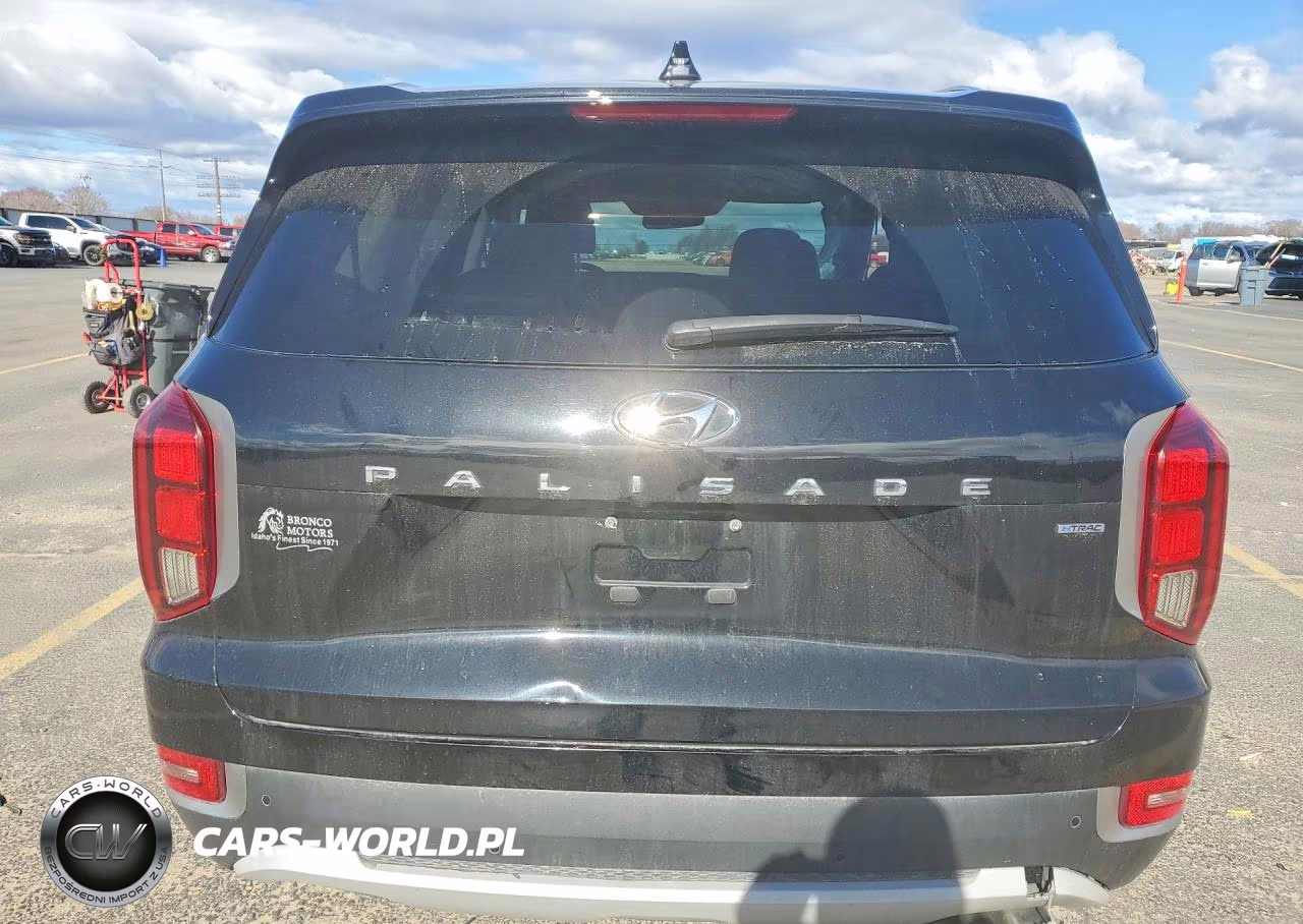 2021 Hyundai Palisade Sel VIN:KM8R4DHEXMU245269 - 6