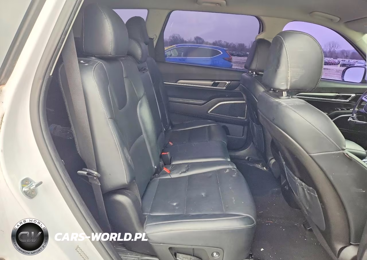2022 Kia Telluride Lx VIN:5XYP2DHC4NG208303 - 11
