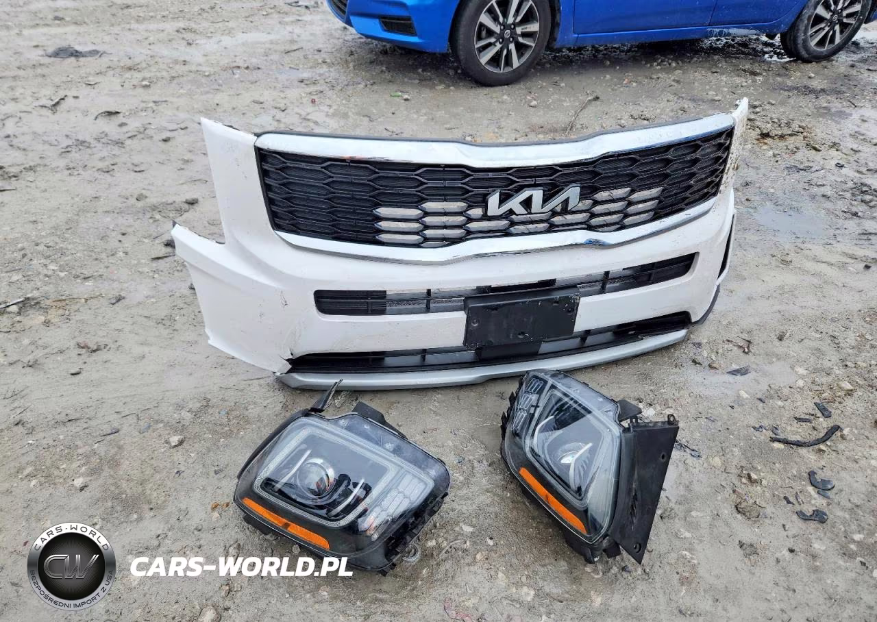 2022 Kia Telluride Lx VIN:5XYP2DHC4NG208303 - 13