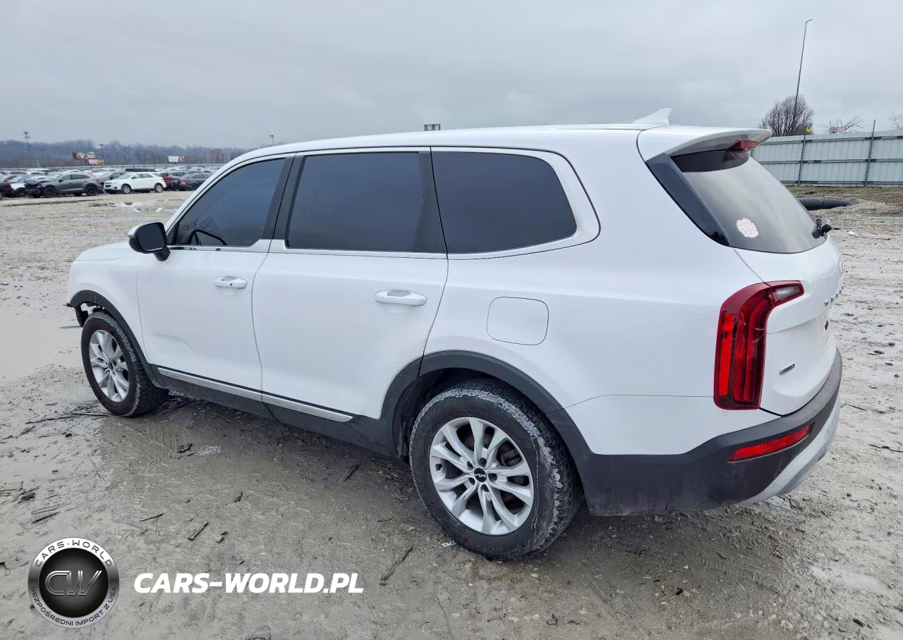 2022 Kia Telluride Lx VIN:5XYP2DHC4NG208303 - 2
