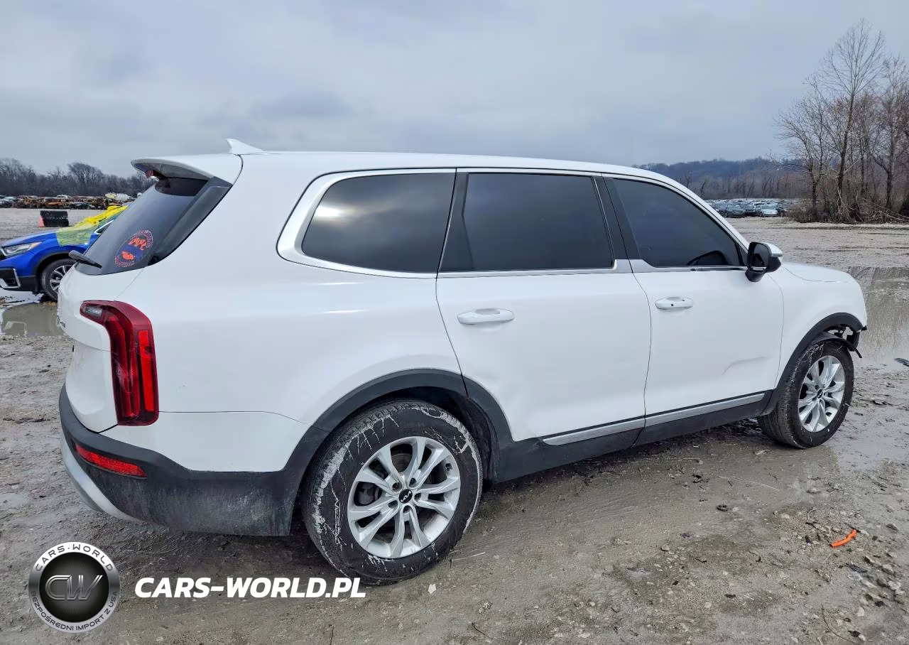 2022 Kia Telluride Lx VIN:5XYP2DHC4NG208303 - 3