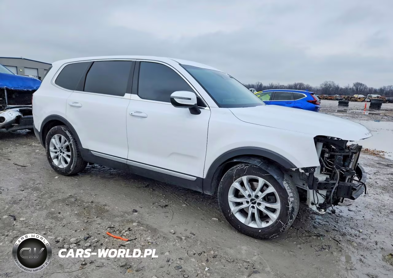 2022 Kia Telluride Lx VIN:5XYP2DHC4NG208303 - 4
