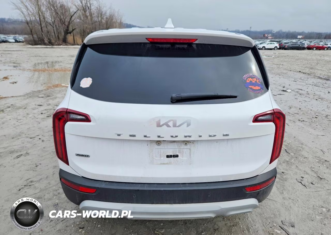 2022 Kia Telluride Lx VIN:5XYP2DHC4NG208303 - 6