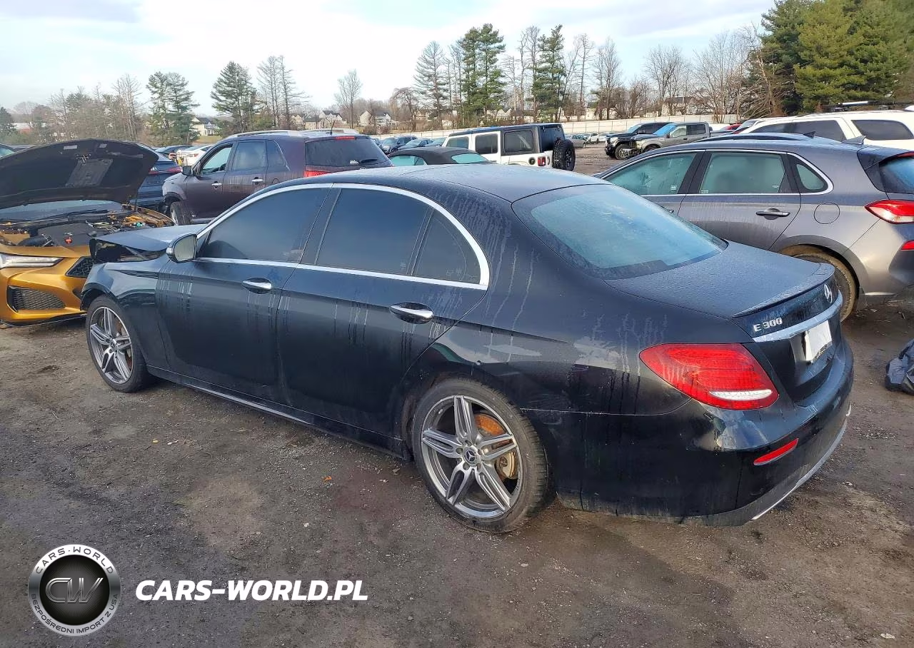 2019 Mercedes-Benz E 300 4Matic VIN:WDDZF4KB4KA690561 - 2