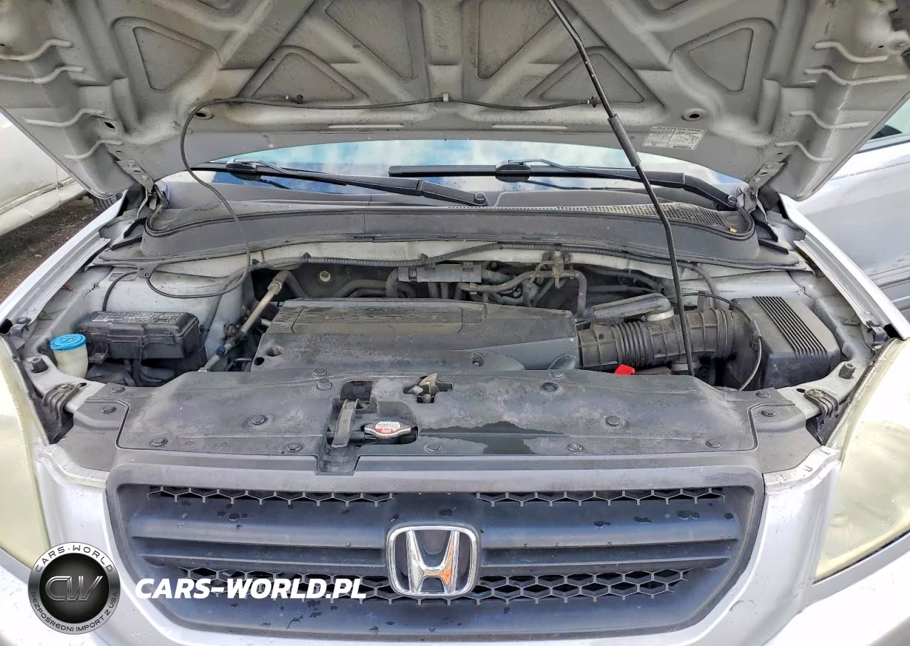 2004 Honda Pilot Ex VIN:2HKYF18484H512175 - 12
