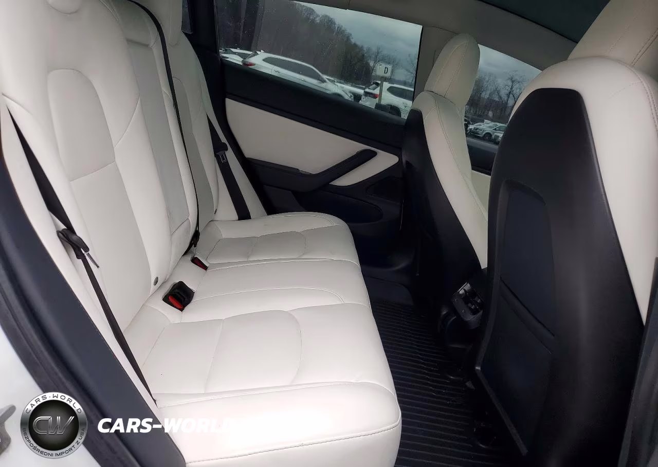 2020 Tesla Model 3 VIN:5YJ3E1EC1LF715057 - 10
