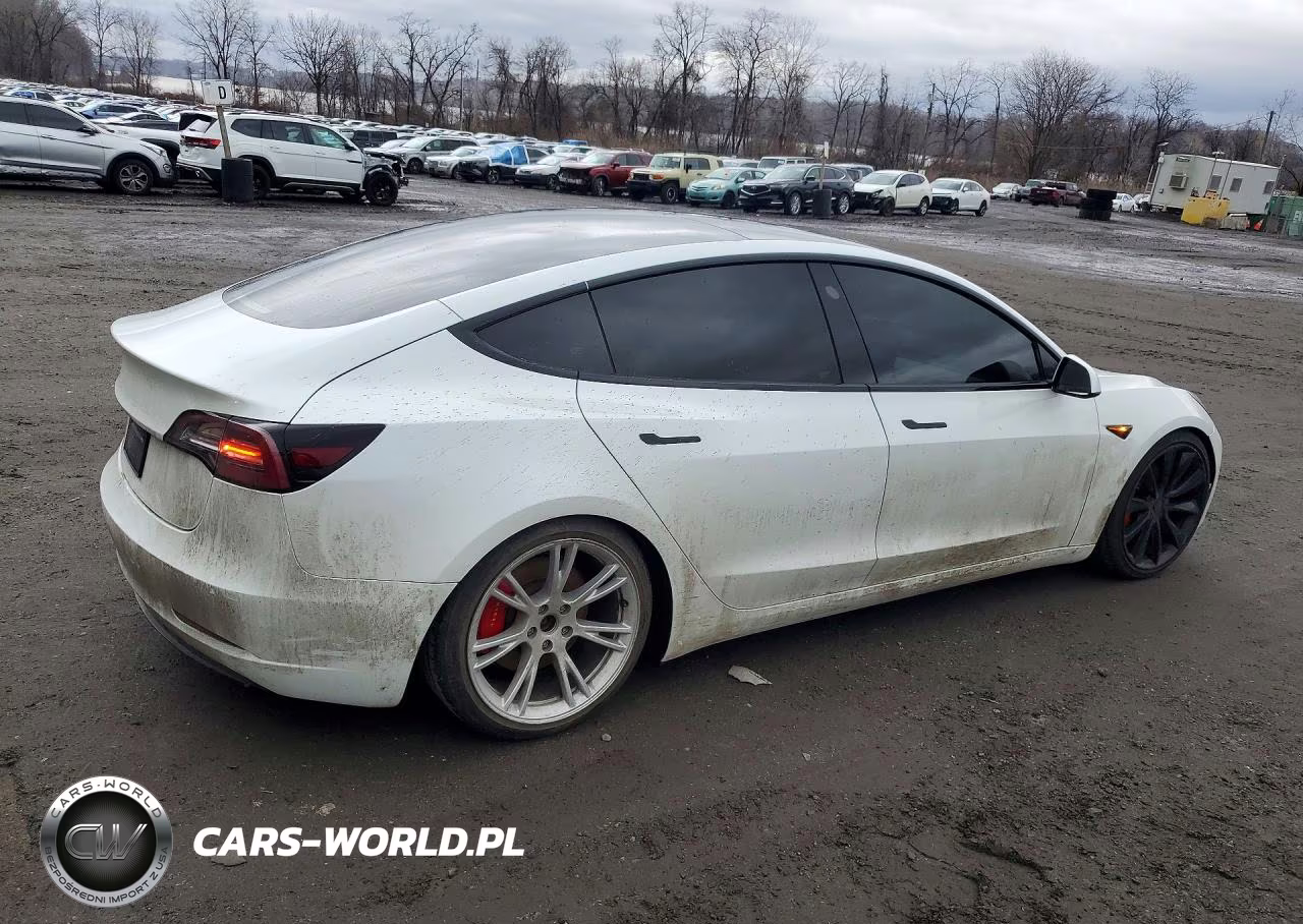 2020 Tesla Model 3 VIN:5YJ3E1EC1LF715057 - 3