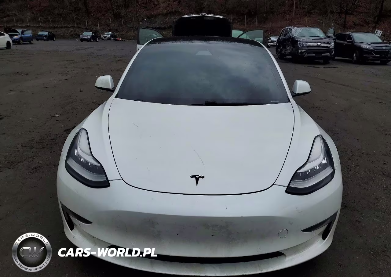 2020 Tesla Model 3 VIN:5YJ3E1EC1LF715057 - 5