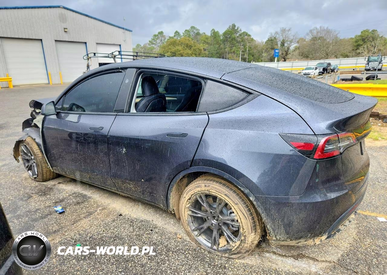 2025 Tesla Model Y VIN:7SAYGDEE3SA361432 - 2