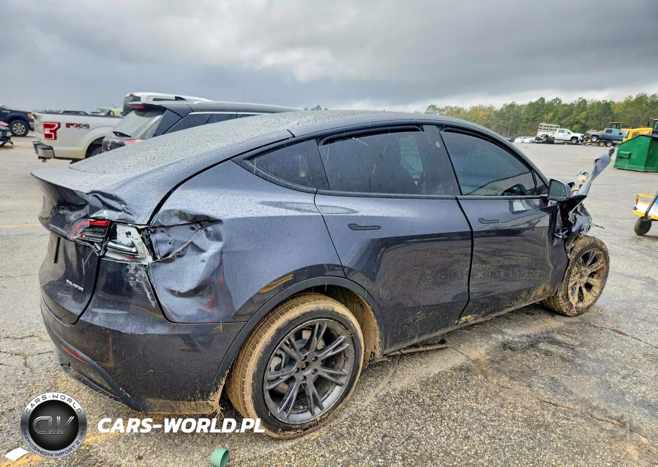 2025 Tesla Model Y VIN:7SAYGDEE3SA361432 - 3
