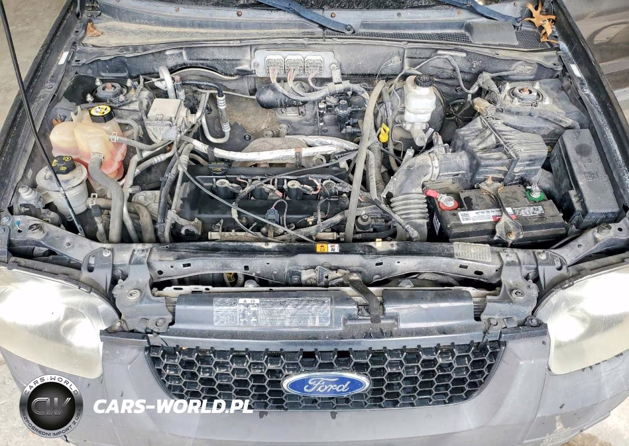 2006 Ford Escape Xlt VIN:1FMYU02Z97KA43118 - 12
