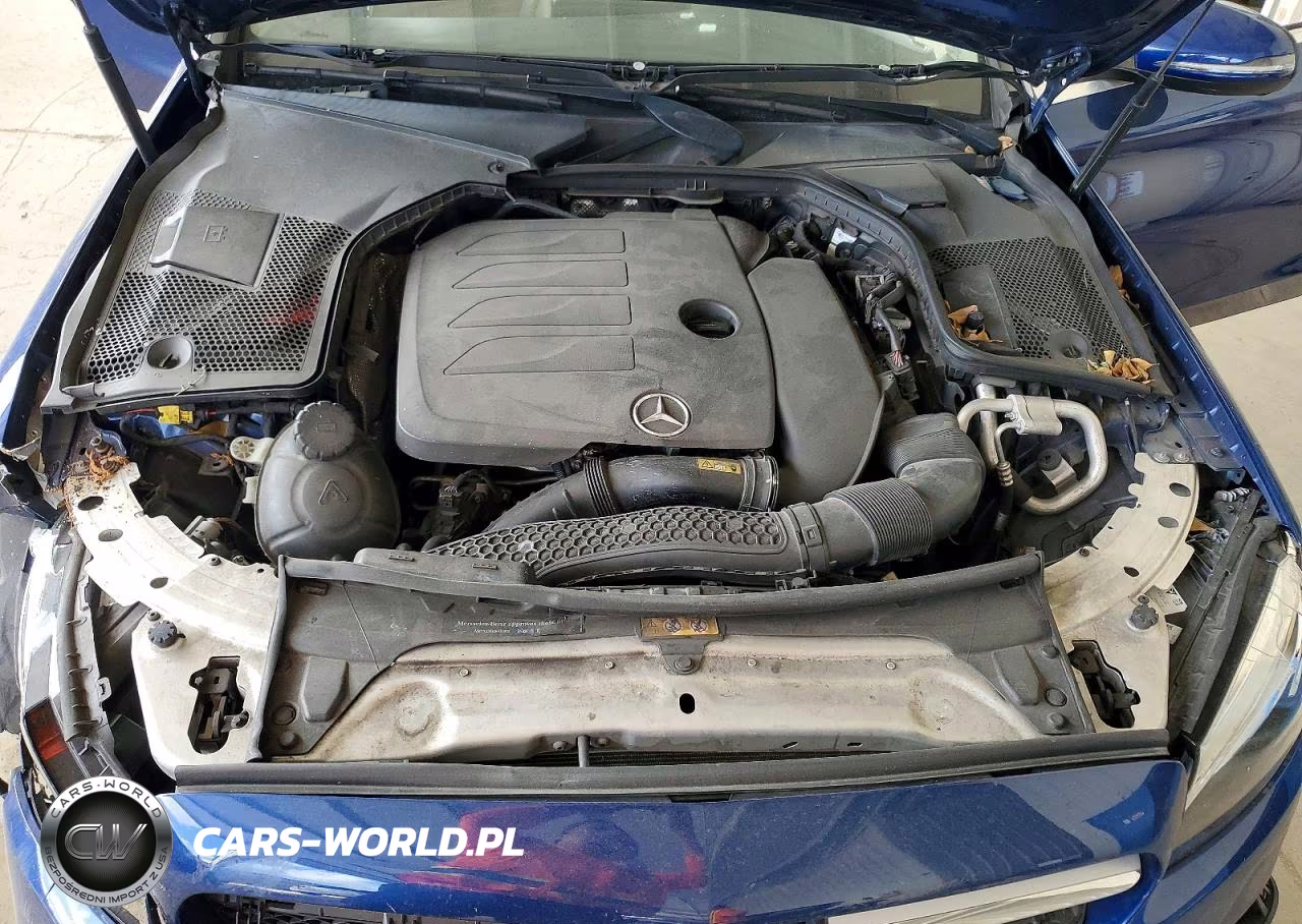 2019 Mercedes-Benz C 300 VIN:55SWF8DB1KU294417 - 11