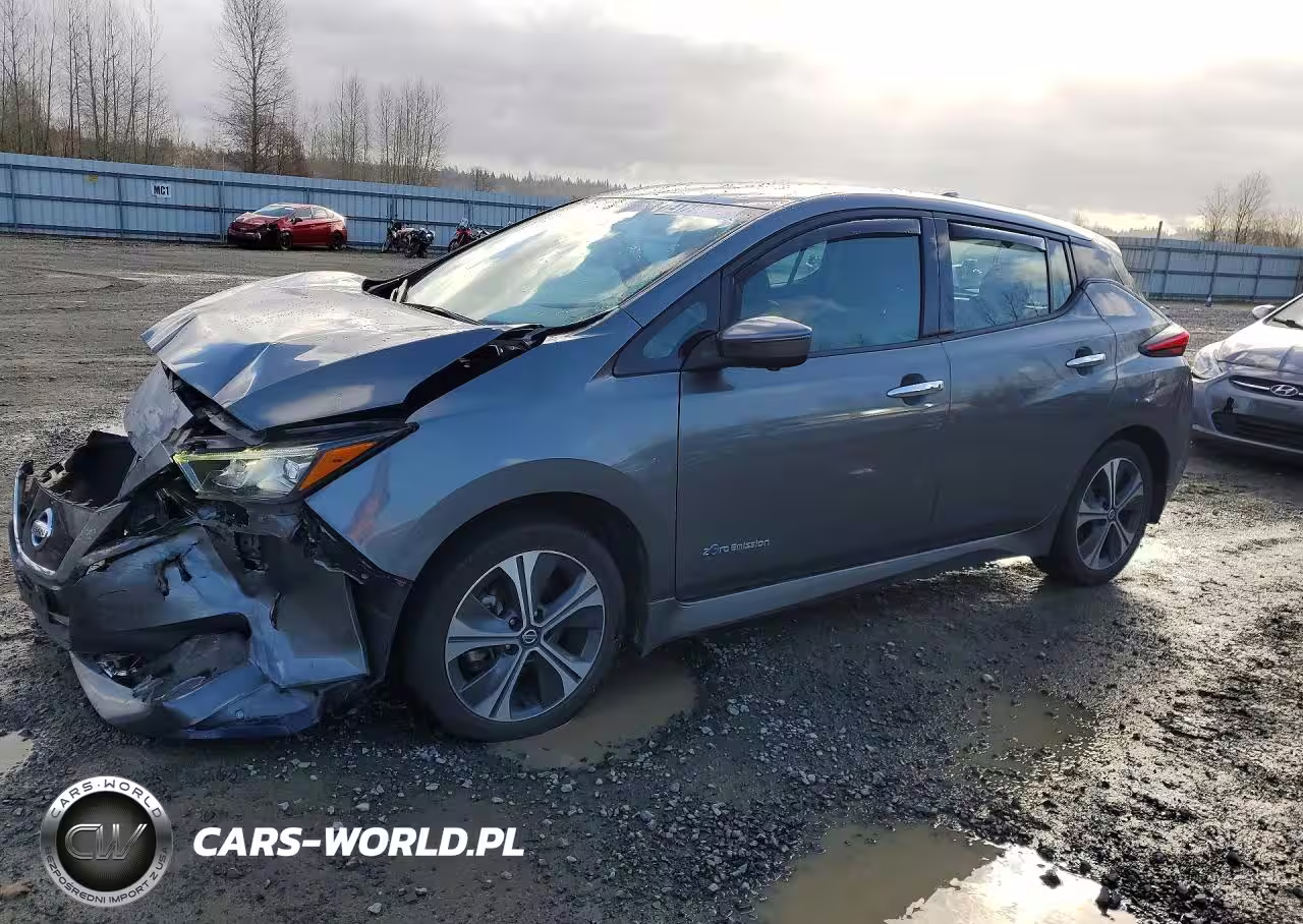 2019 Nissan Leaf Sl Plus