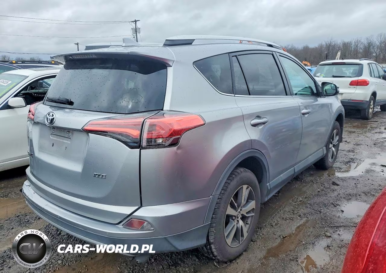 2016 Toyota Rav4 Xle VIN:2T3WFREV9GW241305 - 3