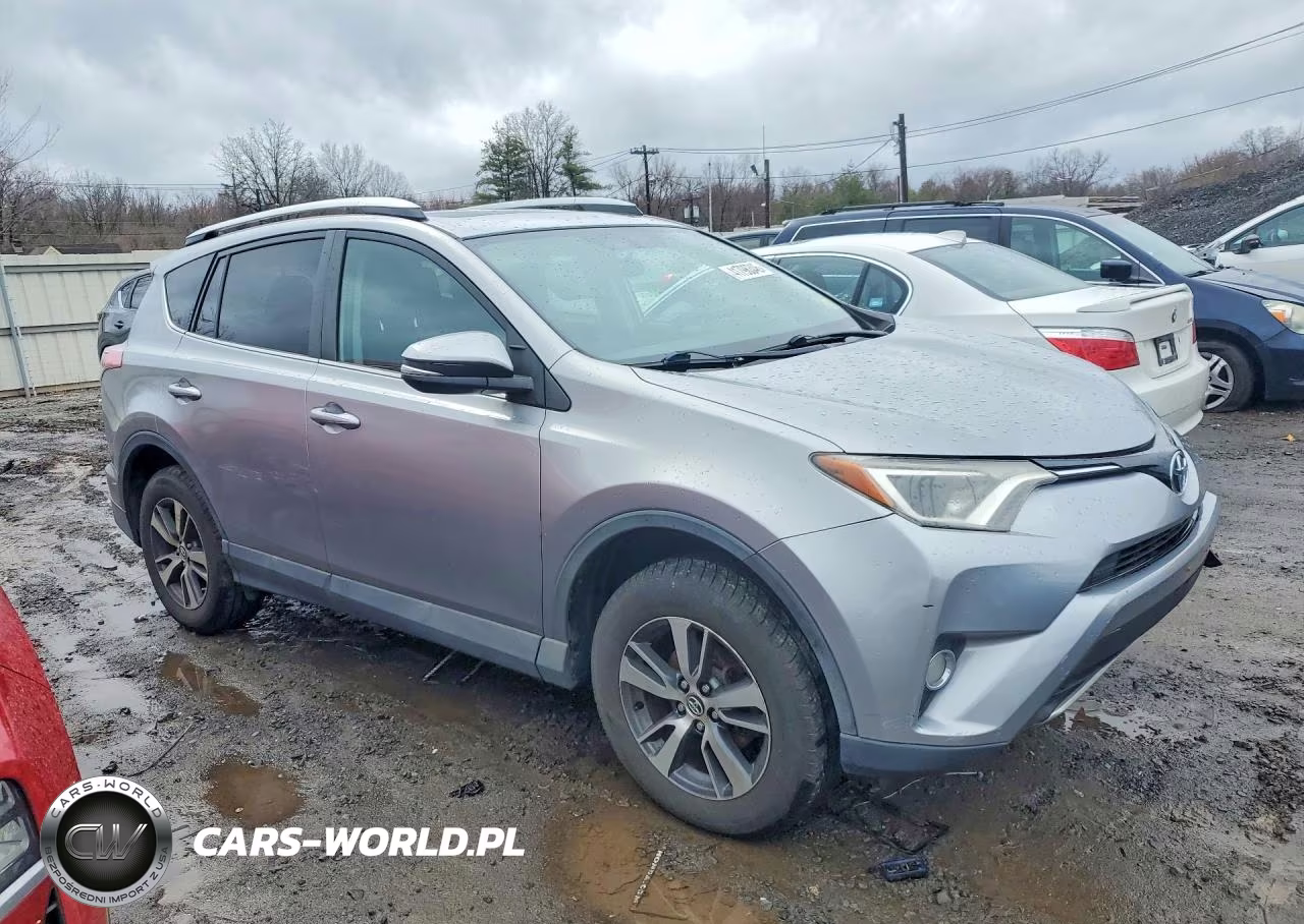 2016 Toyota Rav4 Xle VIN:2T3WFREV9GW241305 - 4