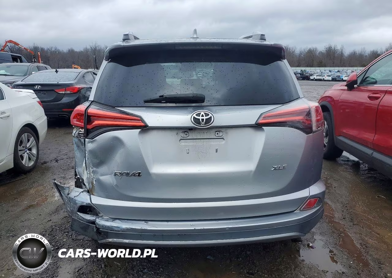 2016 Toyota Rav4 Xle VIN:2T3WFREV9GW241305 - 6