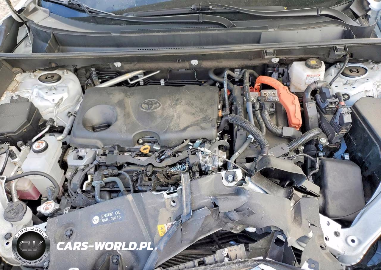 2024 Toyota Rav4 Hybrid Xle VIN:4T3RWRFV5RU114811 - 12