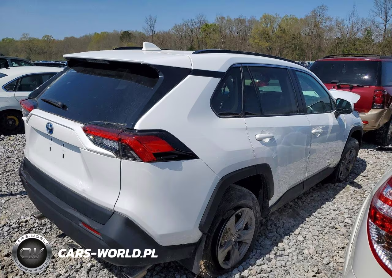 2024 Toyota Rav4 Hybrid Xle VIN:4T3RWRFV5RU114811 - 3