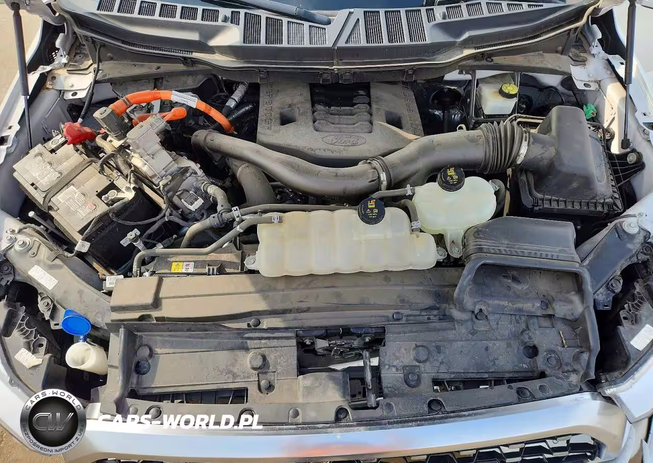 2023 Ford F150 Supercrew VIN:1FTFW1ED7PFA09957 - 11