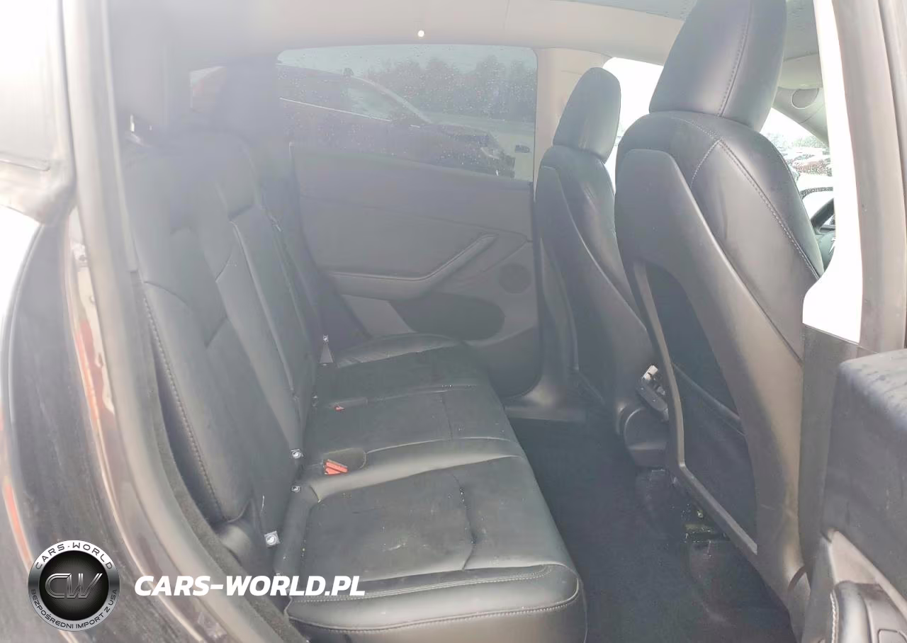 2024 Tesla Model Y VIN:7SAYGDEE6RA335823 - 10